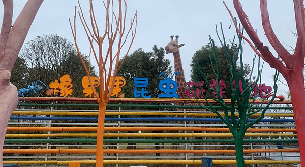 橡果果昆虫研学基地