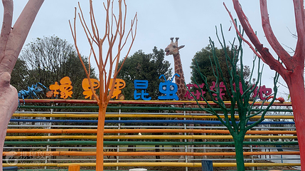 橡果果昆虫研学基地第 6 张图片