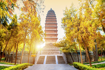 白马寺第 17 张图片