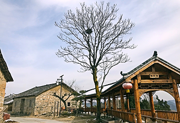古孝感乡都生态旅游度假村第 20 张图片