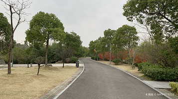 慈溪市森林公园