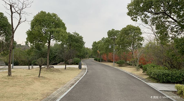 慈溪市森林公园