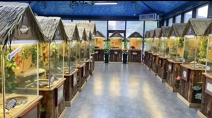笔架山爬行馆第 1 张图片