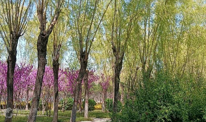 周口市人民公园第 2 张图片