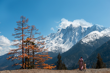 白马雪山第 3 张图片