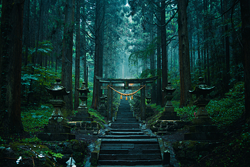 上色见熊野座神社第 11 张图片
