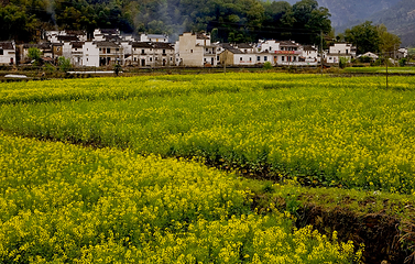江岭景区第 96 张图片