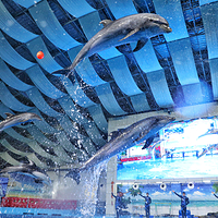 合肥海洋世界