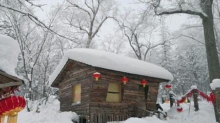 林海雪原国际旅游度假区第 1 张图片
