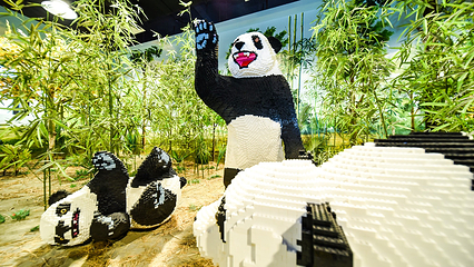 大梦探索乐园第 66 张图片