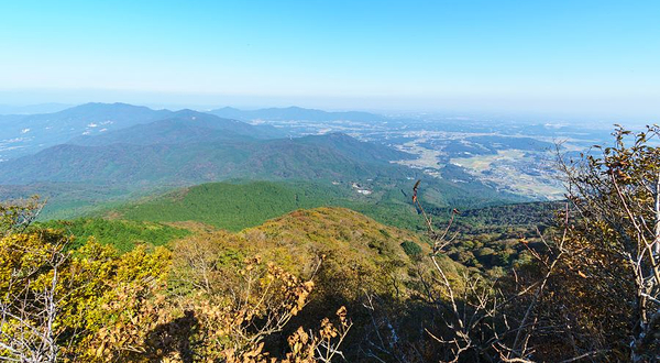 仙台山