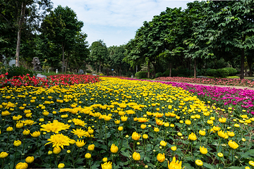 南宁市花卉公园第 3 张图片