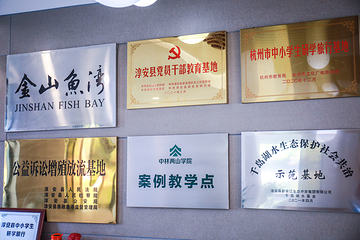 金山鱼湾第 12 张图片