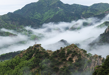 山东香山国际旅游度假区第 13 张图片