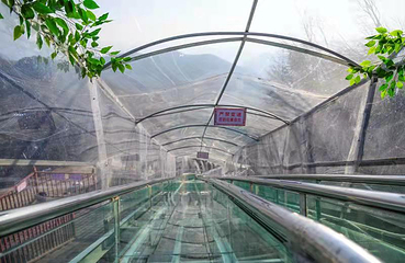 梅花山旅游景区第 90 张图片