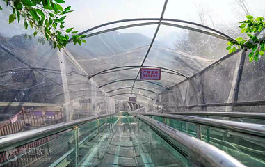 梅花山梦幻激情谷第 3 张图片