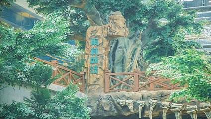 恐龙温泉水世界第 12 张图片