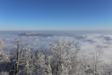 亚布力阳光度假村滑雪场第 49 张图片