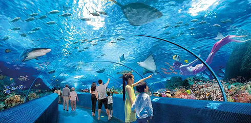 长沙海底世界第 20 张图片