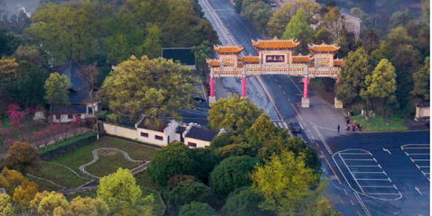 桃花源第 55 张图片