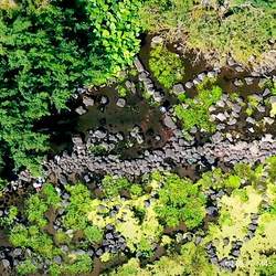 定安久温塘冷泉