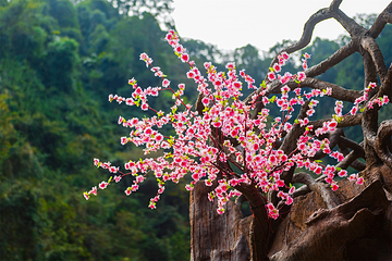 清远笔架山旅游度假区第 134 张图片