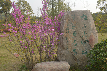 九真桃源第 49 张图片