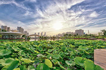 西安植物园新区第 12 张图片