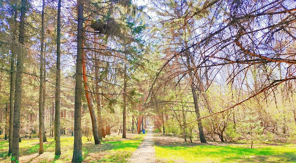 黑龙江省森林植物园