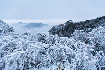 莽山五指峰景区第 124 张图片