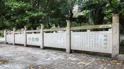 云桥湿地公园第 1 张图片