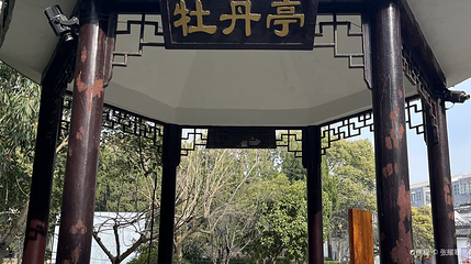 枯枝牡丹园第 1 张图片