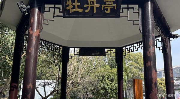 盐城枯枝牡丹园