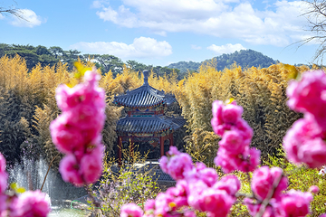 红螺寺第 28 张图片