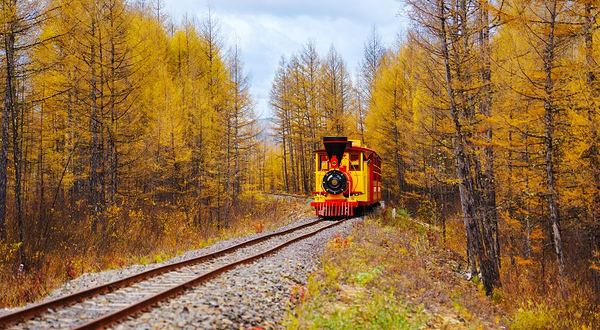 森林公园小火车站