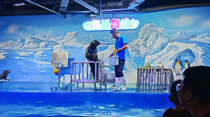 合肥三鲨海洋世界第 1 张图片