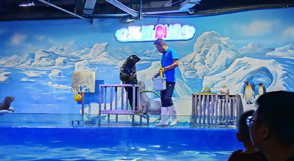 合肥三鲨海洋世界