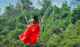 巴厘岛乌布 Aloha Ubud Swing 秋千