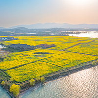 苏州太湖国家湿地公园