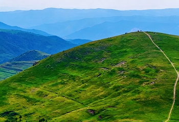 敕勒川高山草原第 16 张图片