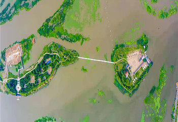 滨江湿地旅游风景区第 24 张图片