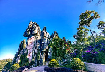 贵州九仙旅游景区第 71 张图片