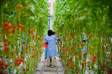 伊川建业绿色基地第 4 张图片