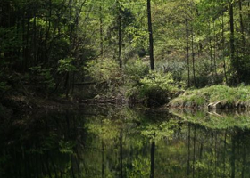 素山寺国家森林公园
