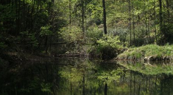 素山寺国家森林公园