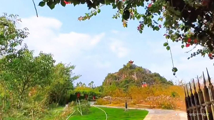 钟山公园第 1 张图片