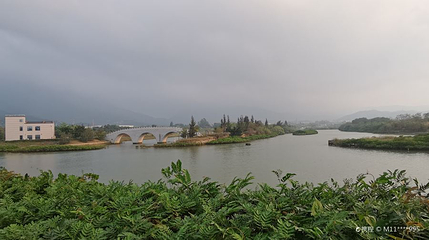 新大河禾塘湿地公园第 1 张图片