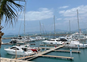 九级浪尾波冲浪俱乐部