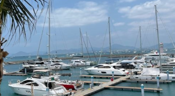 九级浪尾波冲浪俱乐部