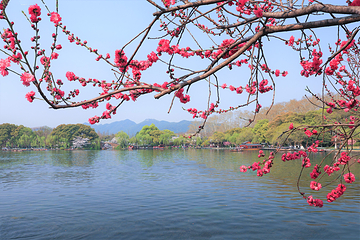 西湖风景名胜区第 10 张图片